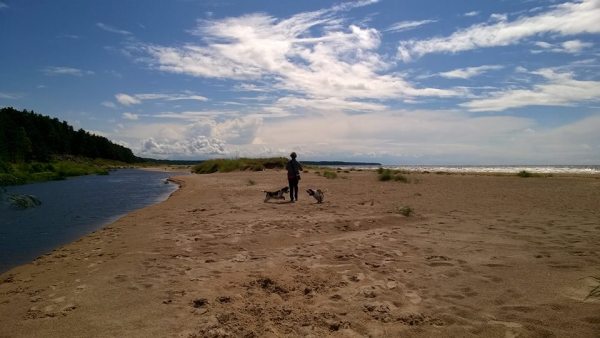 Latvian puolella pakollinen pysähdys on rannalla Vitrupessa, koiratkin tykkää!